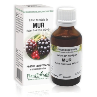 Extract din mladite de Mur, 50 ml, PlantExtrakt