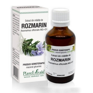 Extract din mladite de Rozmarin, 50 ml, PlantExtrakt