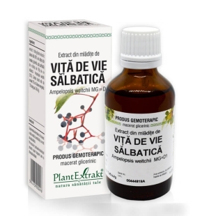 Extract din mladite de Vita de Vie Salbatica, 50 ml, PlantExtrakt
