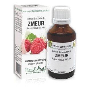 Extract din mladite de Zmeur, 50 ml, PlantExtrakt