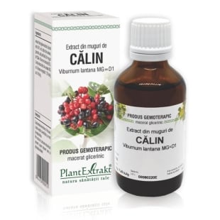 Extract din muguri de Calin, 50 ml, PlantExtrakt