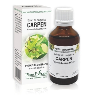 Extract din muguri de Carpen, 50 ml, PlantExtrakt