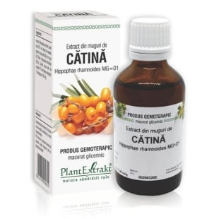 Extract din muguri de Catina, 50 ml, PlantExtrakt