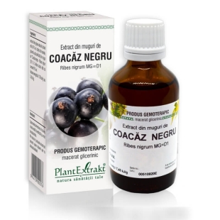 Extract din muguri de Coacaz Negru, 50 ml, PlantExtrakt