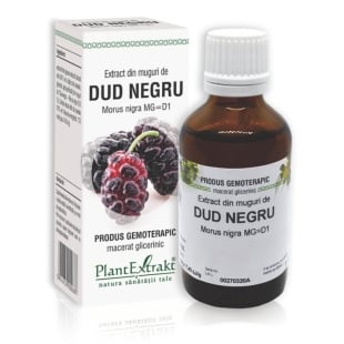 Extract din muguri de Dud Negru, 50 ml, PlantExtrakt