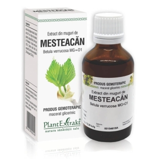 Extract din muguri de Mesteacan, 50 ml, PlantExtrakt