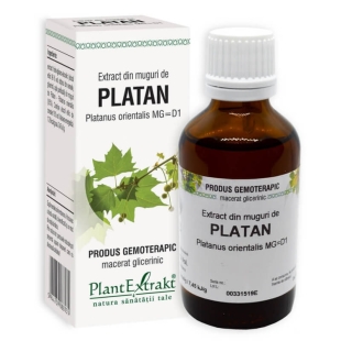 Extract din muguri de Platan, 50 ml, PlantExtrakt