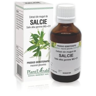 Extract din muguri de Salcie, 50 ml, PlantExtrakt