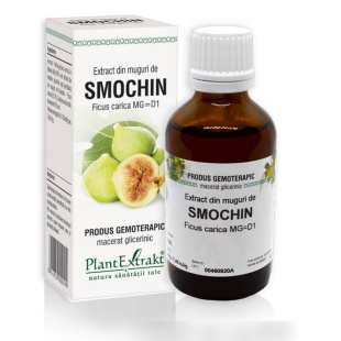 Extract din muguri de Smochin, 50 ml, PlantExtrakt