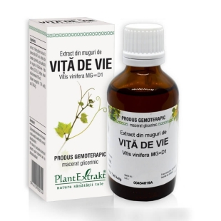 Extract din muguri de Vita de Vie, 50 ml, PlantExtrakt