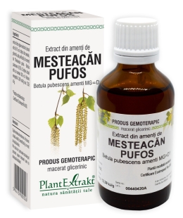 Plantextrakt - Extract din amenti de mesteacan pufos 50ml