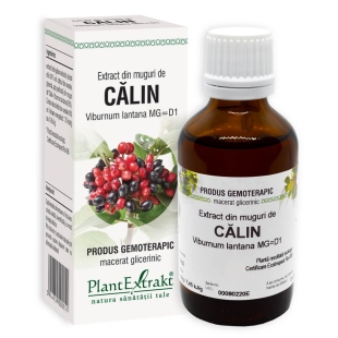 Plantextrakt - Extract din muguri de calin 50ml