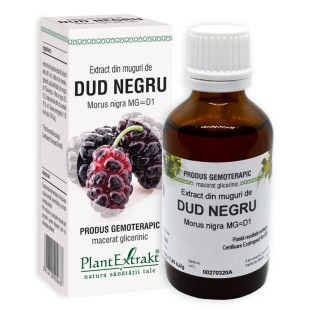 Plantextrakt - Extract din muguri de dud negru 50ml