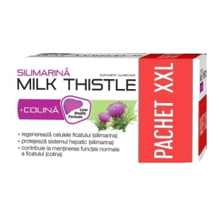Pachet Silimarina Milk Thistle  + Colina, Zdrovit