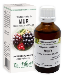 Plantextrakt - Extract din mladite de mur 50ml