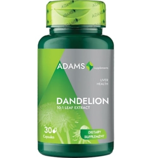 Dandelion extract, 370 mg, 30 capsule, Adams Supplements