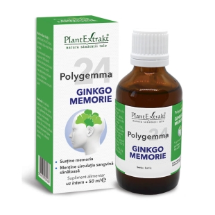 Plantextrakt - Polygemma Nr.24 (Ginkgo Memorie) 50ml