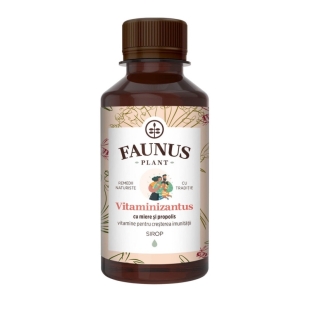 Sirop cu miere si propolis Vitaminizantus, 200 ml, Faunus Plant