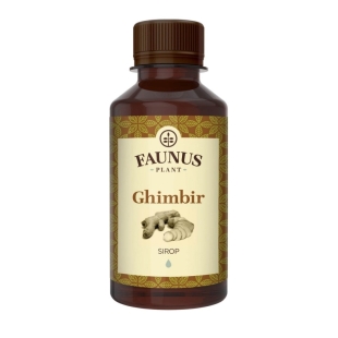 Sirop de ghimbir, 200 ml, Faunus Plant