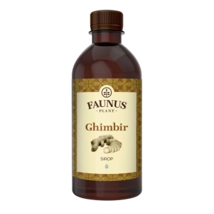 Sirop de ghimbir, 500 ml, Faunus Plant
