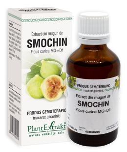 Plantextrakt - Extract din muguri de smochin 50ml