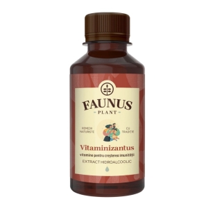 Tinctura Vitaminizantus, 200 ml, Faunus Plant