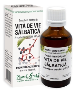 Plantextrakt - Extract din mladite de vita de vie salbatica 50ml