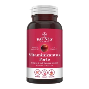 Vitaminizantus Forte, 90 capsule, Faunus Plant