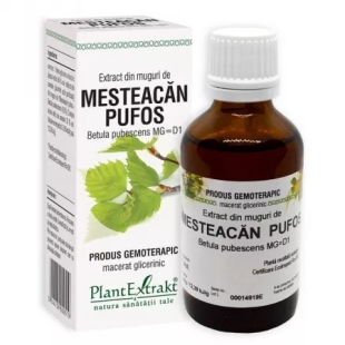 Extract din muguri de mesteacan pufos, 50 ml, Plantextrakt