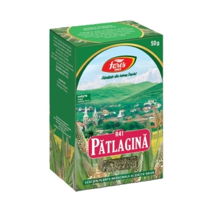 Ceai frunze de patlagina, 50g, Fares