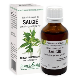 Plantextrakt - Extract din muguri de salcie 50ml
