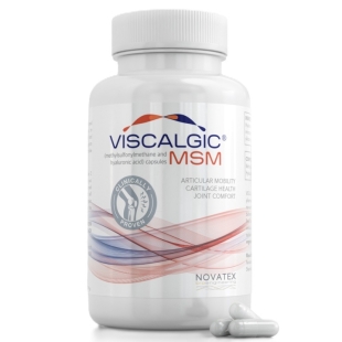 Viscalgic MSM, 120 capsule, Novatex Bioengineering