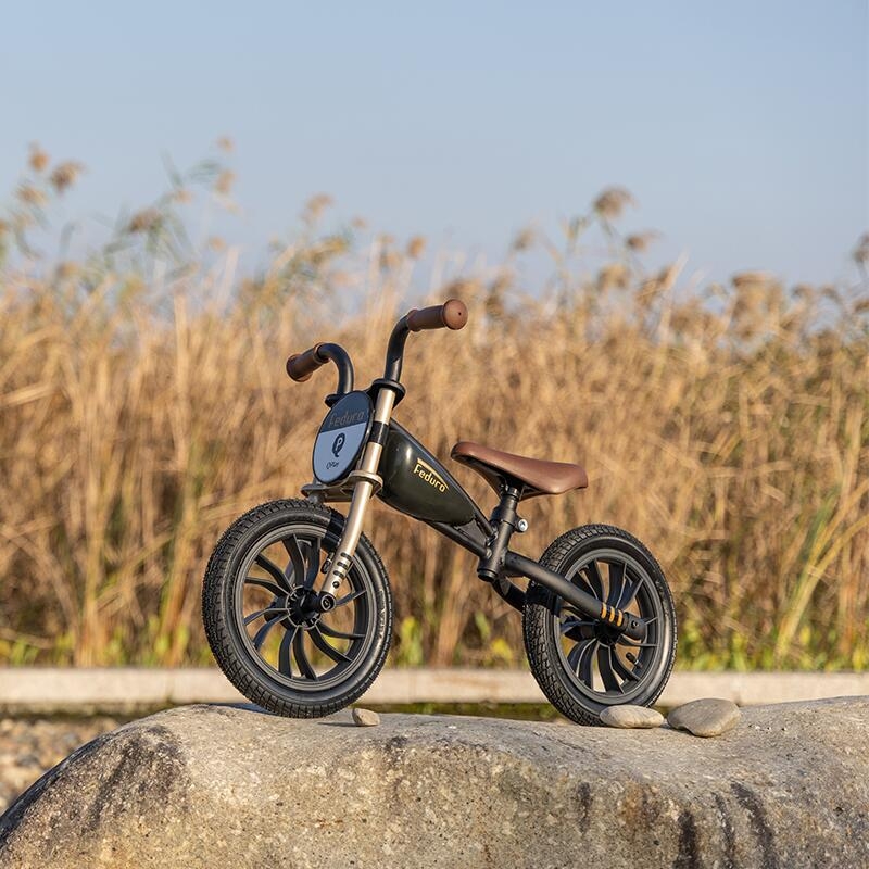 Balance bike QPlay Feduro Negru-Auriu Balance bike QPlay Feduro Negru-Auriu