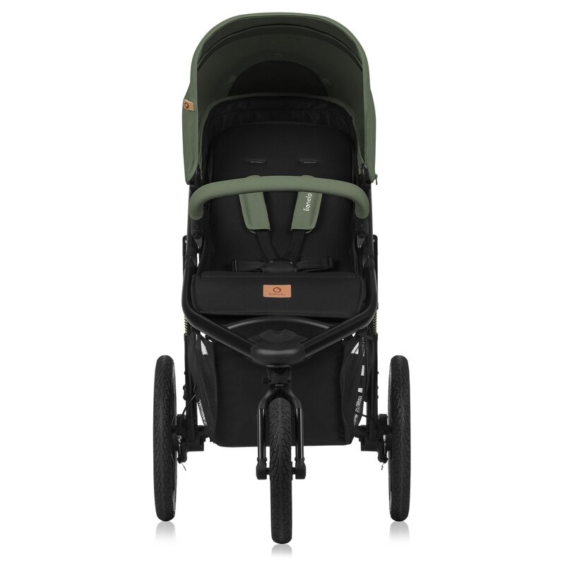 Carucior sport, Lionelo, Azura, Cu 3 roti, Cu baldachin XXL impermeabil, Pliere compacta, Pana la 22 kg, 6-48 luni, Conform cu standardele europene de securitate EN1888-1 si EN1888-2, Verde Carucior sport, Lionelo, Azura, Cu 3 roti, Cu baldachin XXL impermeabil, Pliere compacta, Pana la 22 kg, 6-48 luni, Conform cu standardele europene de securitate EN1888-1 si EN1888-2, Verde