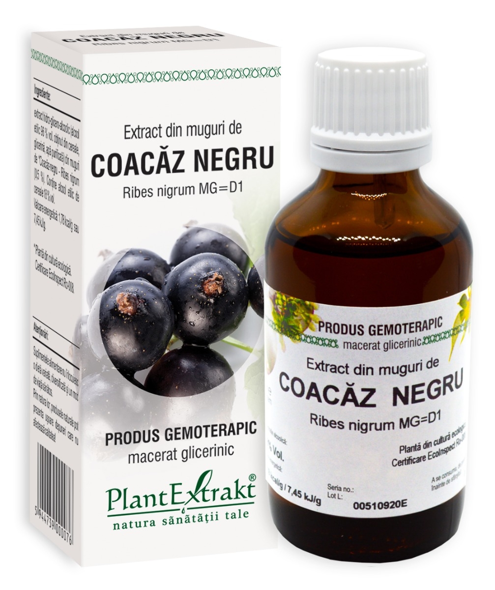 Plantextrakt - Extract din muguri de coacaz negru 50ml Plantextrakt - Extract din muguri de coacaz negru 50ml