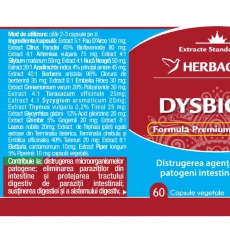 Dysbiosis, 60 capsule, Herbagetica Dysbiosis, 60 capsule, Herbagetica
