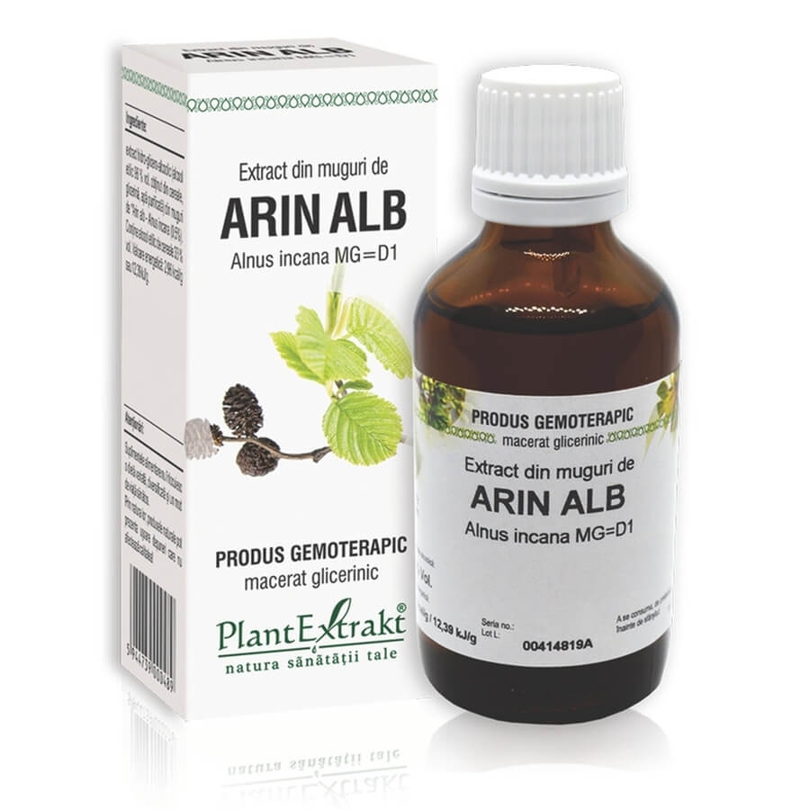 Extract din muguri de Arin Alb, 50 ml, PlantExtrakt