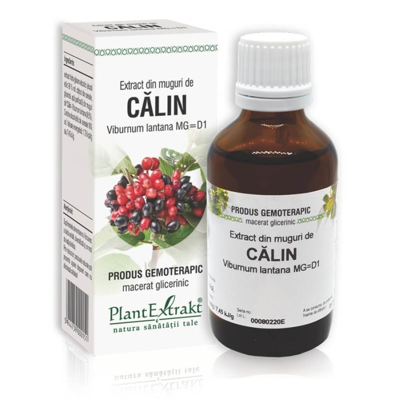 Extract din muguri de Calin, 50 ml, PlantExtrakt Extract din muguri de Calin, 50 ml, PlantExtrakt