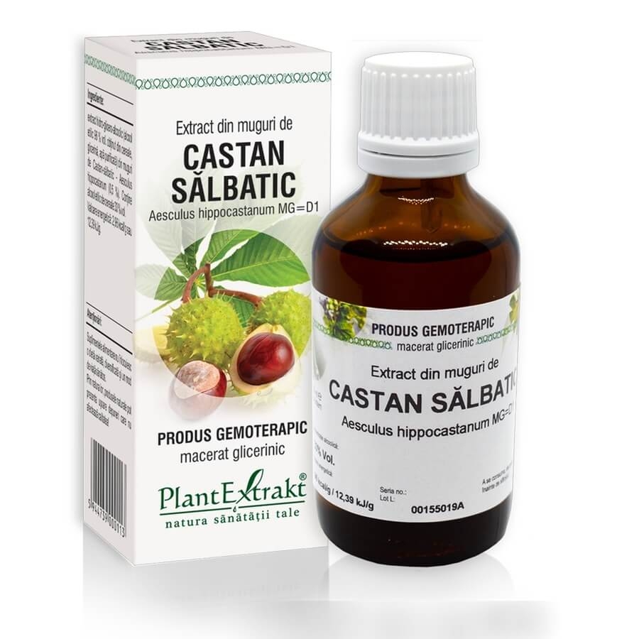 Extract din muguri de Castan Salbatic, 50 ml, PlantExtrakt