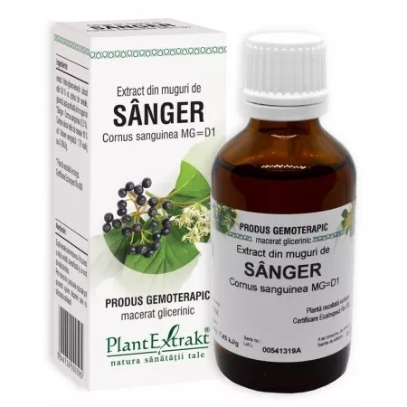 Extract din muguri de Sanger, 50 ml, PlantExtract Extract din muguri de Sanger, 50 ml, PlantExtract