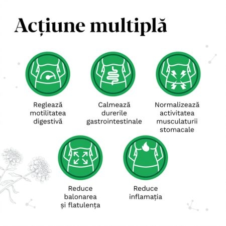 Iberogast picaturi orale, 20 ml, Bayer Iberogast picaturi orale, 20 ml, Bayer