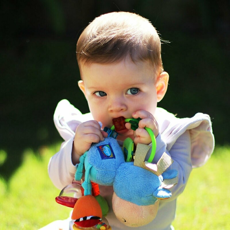 Jucarie zornaitoare si de dentitie, Playgro, Cu activitati, Cu jucarii de dentitie, Cu margele, Cu diferite texturi, Clip Clop Activity Rattle, 11 cm Jucarie zornaitoare si de dentitie, Playgro, Cu activitati, Cu jucarii de dentitie, Cu margele, Cu diferite texturi, Clip Clop Activity Rattle, 11 cm