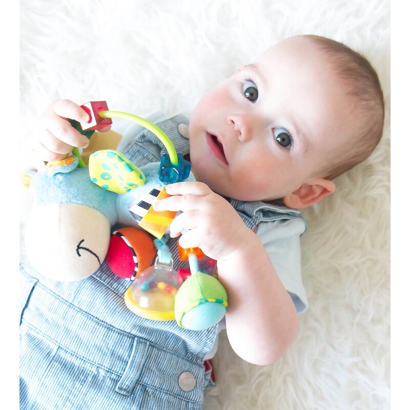Jucarie zornaitoare si de dentitie, Playgro, Cu activitati, Cu jucarii de dentitie, Cu margele, Cu diferite texturi, Clip Clop Activity Rattle, 11 cm Jucarie zornaitoare si de dentitie, Playgro, Cu activitati, Cu jucarii de dentitie, Cu margele, Cu diferite texturi, Clip Clop Activity Rattle, 11 cm