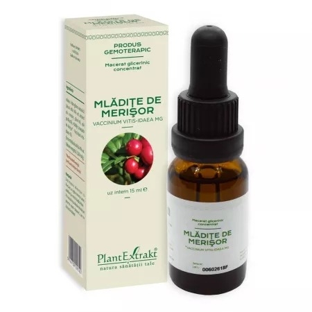 Mladite de merisor macerat glicerinic concentrat, 15 ml, PlantExtrakt Mladite de merisor macerat glicerinic concentrat, 15 ml, PlantExtrakt