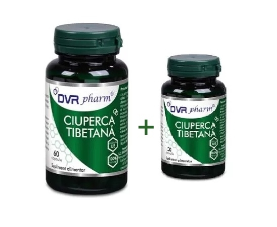 Pachet Ciuperca tibetana, 60 + 30 capsule, DVR Pharm Pachet Ciuperca tibetana, 60 + 30 capsule, DVR Pharm