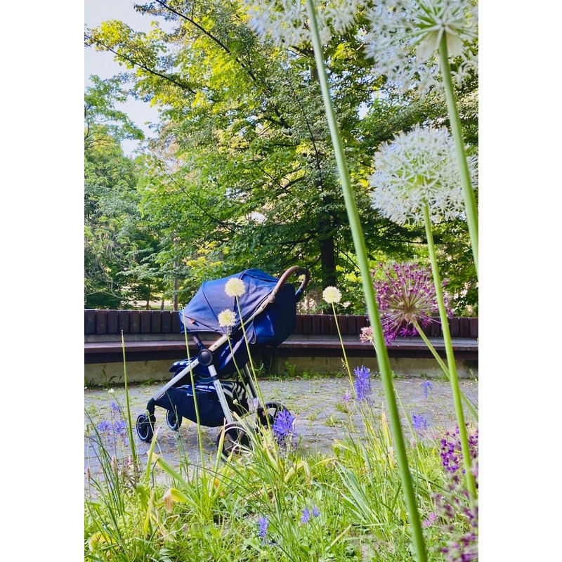 Petite&Mars - Carucior sport, Royal, Include husa pentru scaun, husa pentru picioare, geanta pentru scutece si capotina extensibila, Cu fereastra, Impermeabila, Cu SPF 50, Aluminiu, 0-22 kg, 111 x 57 x 86 cm, Ocean Blue Petite&Mars - Carucior sport, Royal, Include husa pentru scaun, husa pentru picioare, geanta pentru scutece si capotina extensibila, Cu fereastra, Impermeabila, Cu SPF 50, Aluminiu, 0-22 kg, 111 x 57 x 86 cm, Ocean Blue