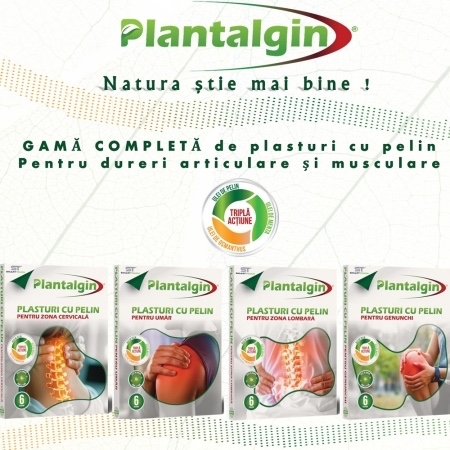 Plasturi cu pelin pentru dureri de genunchi, 6 bucati, Plantalgin