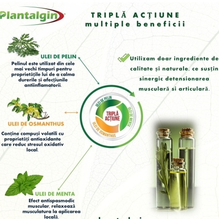 Plasturi cu pelin pentru dureri de genunchi, 6 bucati, Plantalgin