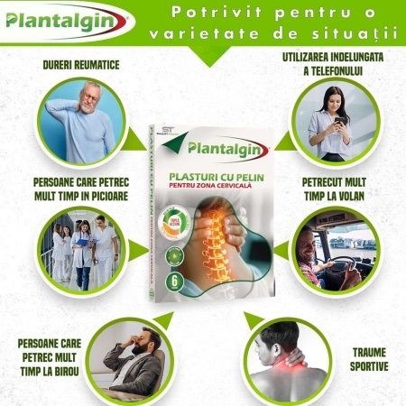 Plasturi cu pelin pentru dureri de genunchi, 6 bucati, Plantalgin