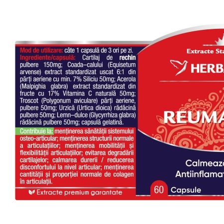 Reumatofit, 60 capsule, Herbagetica Reumatofit, 60 capsule, Herbagetica